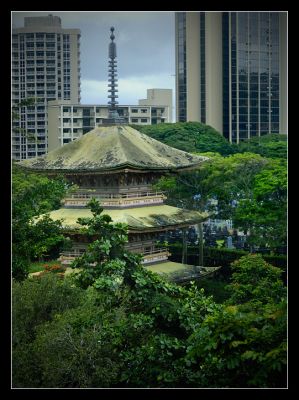DSC_25775_rs.jpg