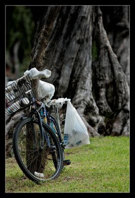 DSC_25998_trs.jpg