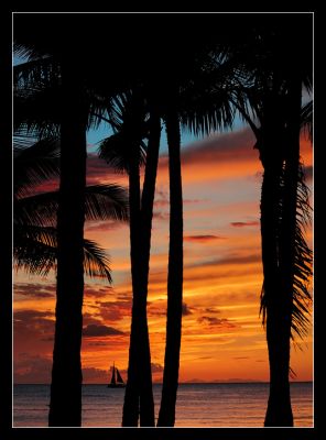 DSC_26254_rs.jpg