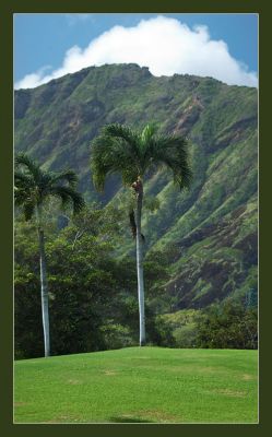 DSC_26361--3_rs.jpg