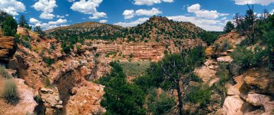 Petrified Wood State Park panorama
