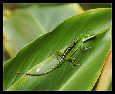 DSC_26557_rs.jpg