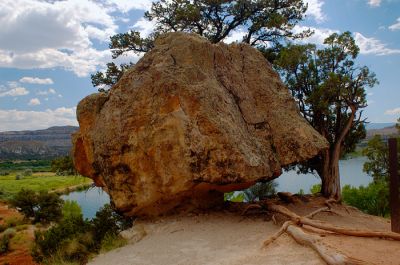 Petrified Wood State Park trail
