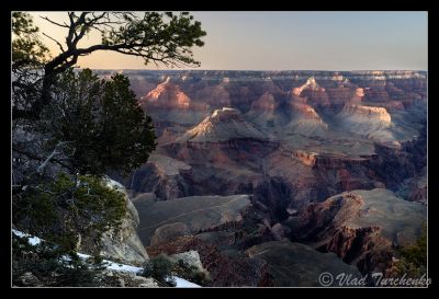 DSC_27944_tps.jpg