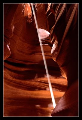 DSC_28495_rs.jpg