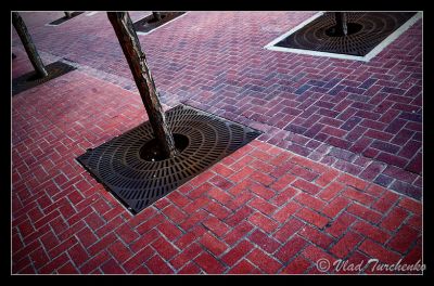 DSC_28811_ps.jpg