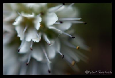 DSC_29470_rs.jpg