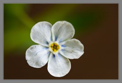 DSC_29474_rs.jpg