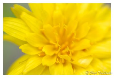 DSC_29485_rs.jpg