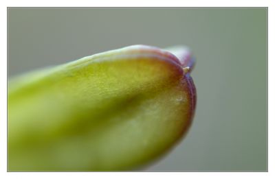 DSC_29552_rs.jpg