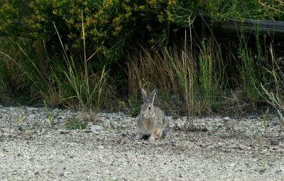 DSC_3134.JPG