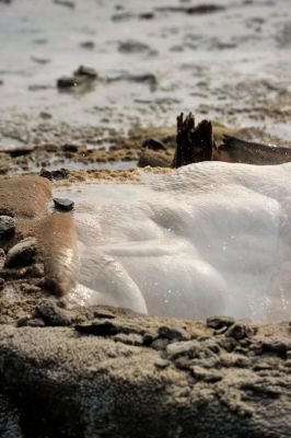 DSC_3274.JPG