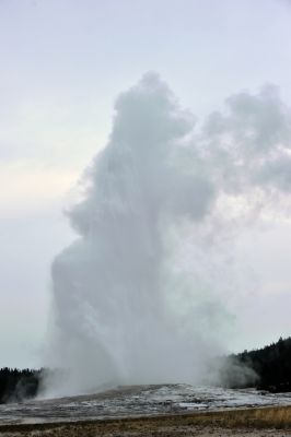 DSC_3294.JPG