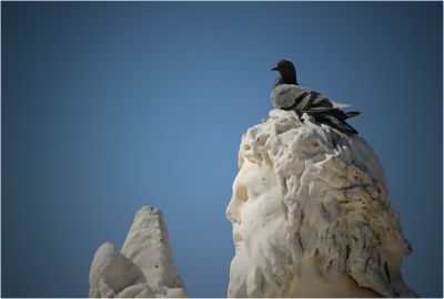 DSC_4007.jpg