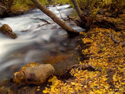 DSC_4386_rs.jpg