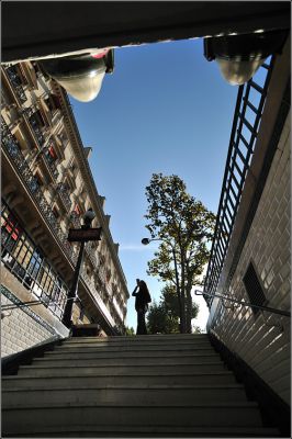 DSC_4390.jpg