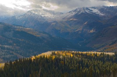 DSC_4563_rs.jpg