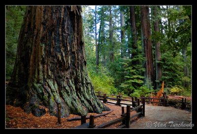 DSC_5048_ps.jpg