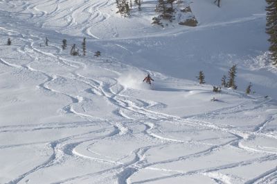 DSC_5870_rs.jpg