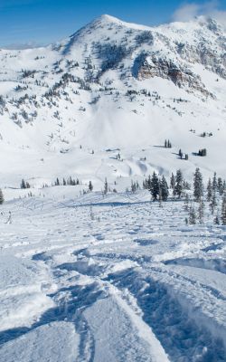 DSC_6048_rs.jpg