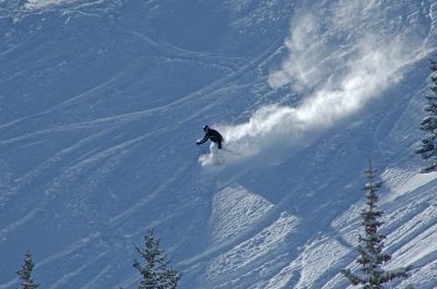 DSC_6087_rs.jpg