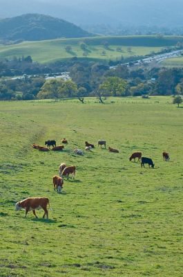DSC_6766_rs.jpg