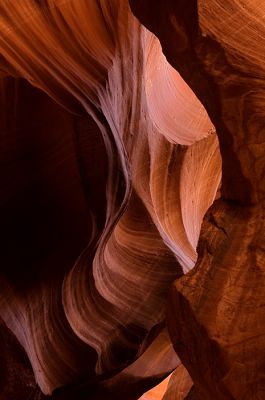 DSC_7507_rs.jpg