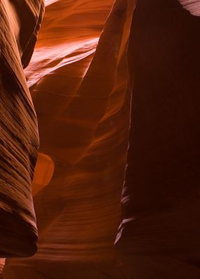 DSC_7561_rs.jpg