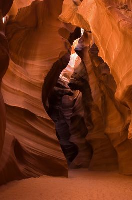 DSC_7619_rs.jpg
