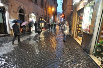 DSC_7723.JPG