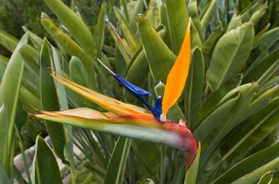 DSC_8518_rs.jpg