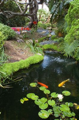 DSC_8519_rs.jpg