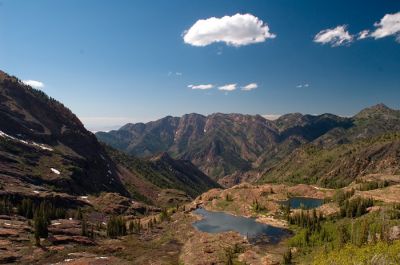 DSC_9091_rs.jpg