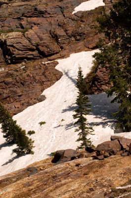 DSC_9105_rs.jpg