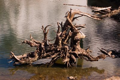 DSC_9118_rs.jpg
