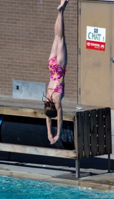 DSC_9312_rs.jpg