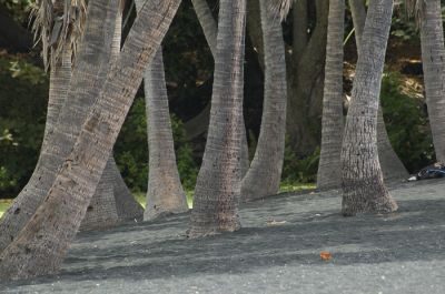 Black Sands Beach
