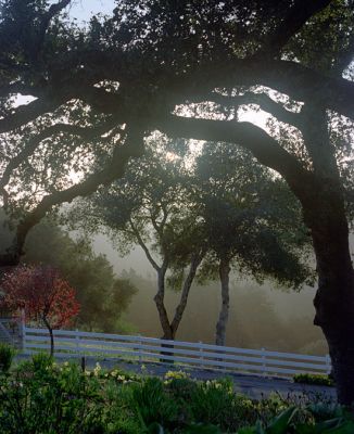 IMG_05132002-1_rs.jpg