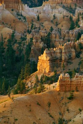 IMG_123119_019_rs.jpg