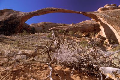 IMG_132932_03_rs.jpg