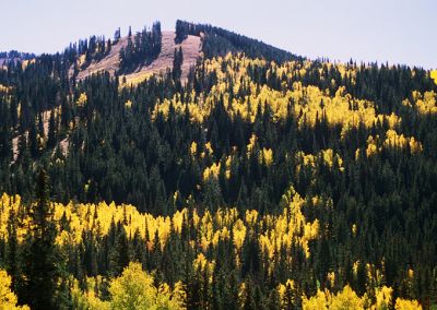 IMG_1348_13_rs.jpg