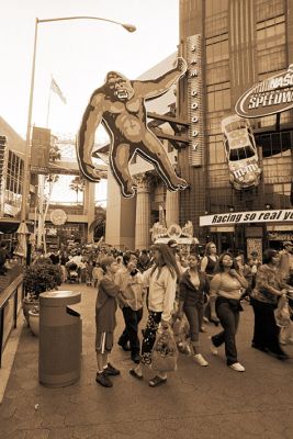 IMG_1387_30_rs.jpg