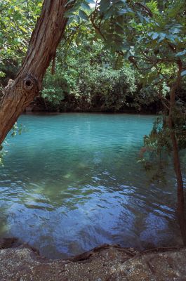 IMG_7259_03_rs.jpg