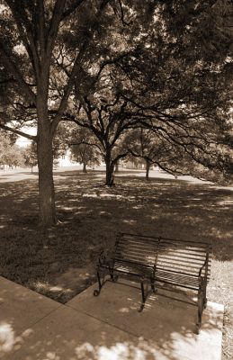IMG_81193_010_rs.jpg