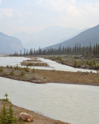 Jasper_pan01.JPG