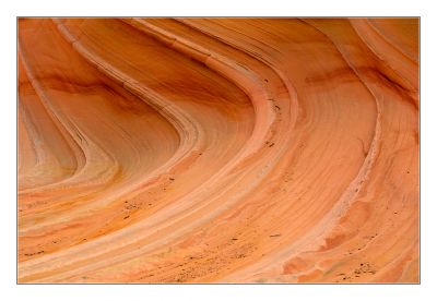 _DS00274_rs.jpg