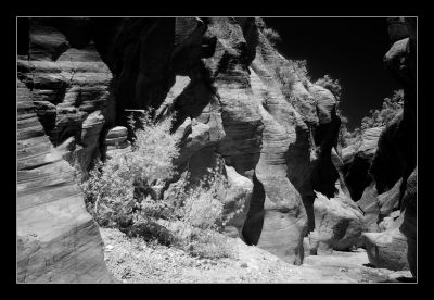 _DS00472_bw_rs.jpg