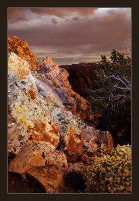 _DS00751_rs.jpg
