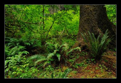 _DS01043_rs.jpg