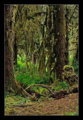 _DS01046_rs.jpg